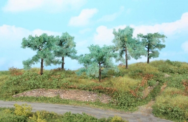 Heki 1773 -5 Olivenbäume