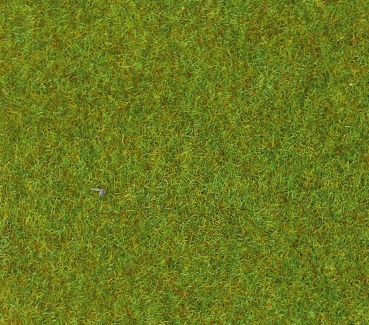 Heki 30903 - Grasmatte hellgrün, 100x300 cm