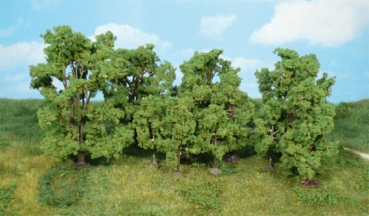 Heki 1414 - 14 Laubbäume 14-16 cm