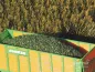 Preview: Juweela 23476  - Spur 1:32 Maissilage grün, 400g