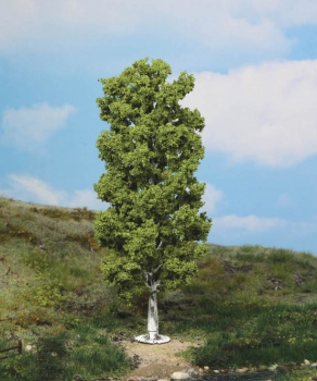 Heki 1984 - 1 Birke, 20 cm