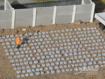 Juweela 21329 - Spur TT + N Rotkohlfeld, 360 Pflanzen