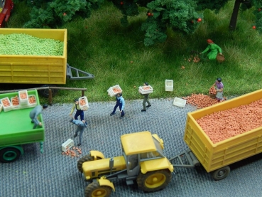 Juweela 28119  Äpfel grün  Inhalt 25 g