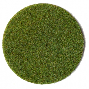 Heki 3360 - Grasfaser Sommerwiese, 2-3 mm, 100 g