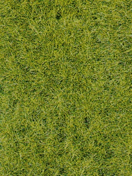 Heki 3369 - Grasfaser Wildgras dunkelgrün, 5-6 mm, 75 g