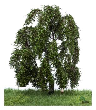 MBR model 51-2309 -Spur H0 Trauerweide Sommer, 18-22cm