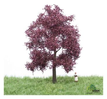 MBR model 51-2214 - Spur HO/TT Blutbuche Sommer, 12-16cm