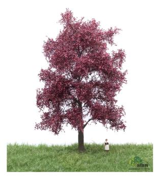 MBR model 51-2314 - Spur H0 Blutbuche Sommer, 18-22cm