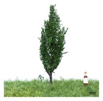 MBR model 51-2107 - Spur N Italienische Pappel Sommer, 6-10cm