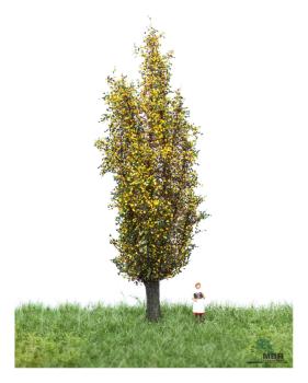 MBR model 52-2207 - Spur HO/TT Italienische Pappel Herbst, 12-16cm