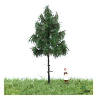 MBR model 51-4105 - Spur N Waldfichte Sommer, 6-10 cm