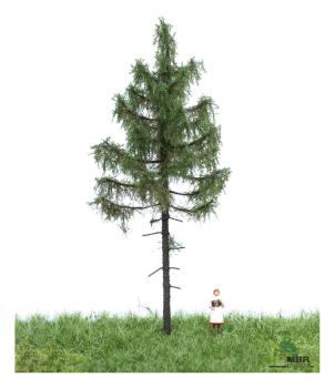 MBR model 51-4205 - Spur HO/TT Waldfichte Sommer, 12-16 cm