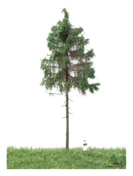 MBR model 51-4305 - Spur H0 Waldfichte Sommer, 18-22cm