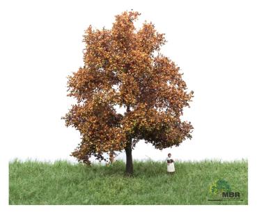MBR model 52-2202 - Spur HO/TT Buche Herbst, 12-16 cm