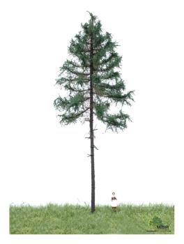 MBR model 51-4301 - Spur H0 Weißtanne Sommer, 18-22 cm