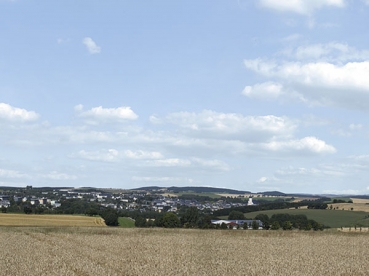 Auhagen 42514 - Spur HO/TTN Hintergrund Erzgebirge 2