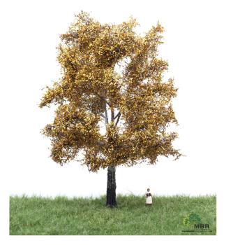 MBR model 52-2305 - Spur H0 Silberpappel Herbst,18-22 cm