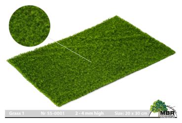MBR model 55-0001- Grasmatte, 2-4 mm