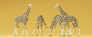 Preiser 79715 - Spur N Giraffen