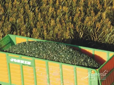 Juweela 23476  - Spur 1:32 Maissilage grün, 400g