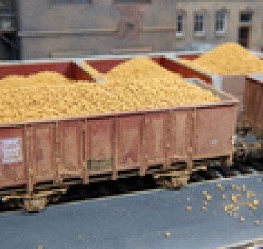 Juweela 28110 - Kartoffeln, 75g