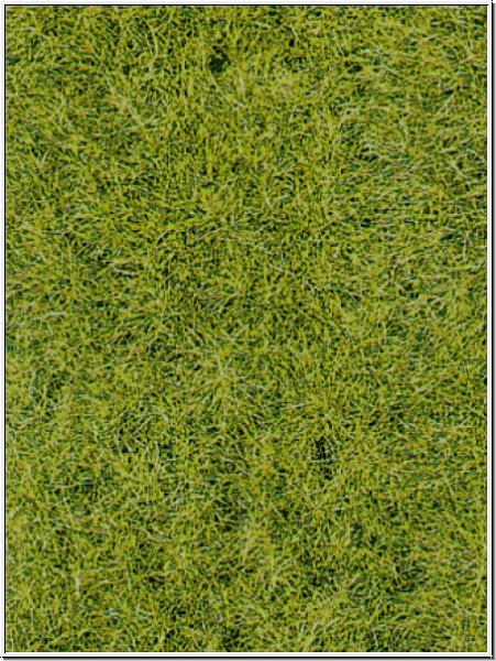 Heki 1856 - decovlies Wildgras Waldboden, 40x40 cm