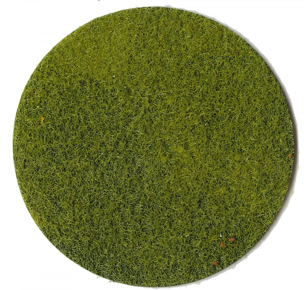 Heki 3364 - Grasfaser hellgrün, 2-3 mm, 50 g
