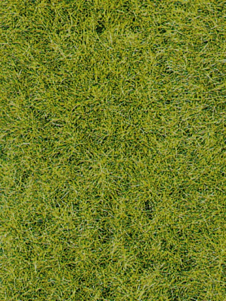 Heki 3369 - Grasfaser Wildgras dunkelgrün, 5-6 mm, 75 g