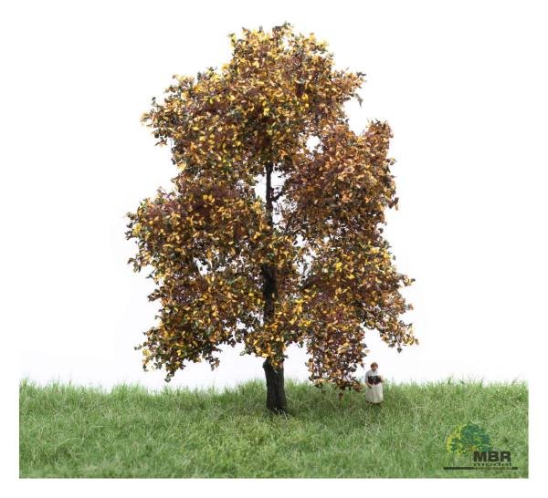 MBR model 52-2203 - Spur HO/TT Eiche Herbst, 12-16 cm