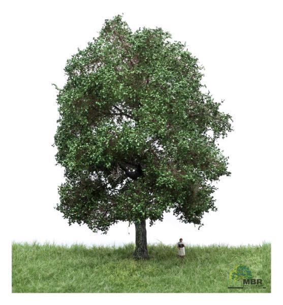 MBR model 51-2303 - Spur H0 Eiche Sommer, 18-22 cm