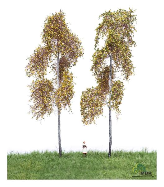 MBR model 52-2313 - Spur H0 2 Waldbirke Herbst, 18-22 cm