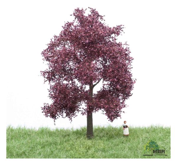 MBR model 51-2214 - Spur HO/TT Blutbuche Sommer, 12-16cm