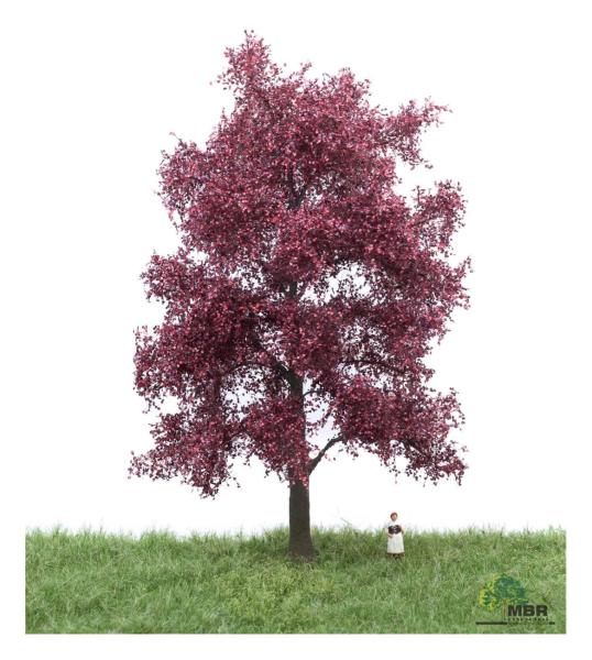 MBR model 51-2314 - Spur H0 Blutbuche Sommer, 18-22cm