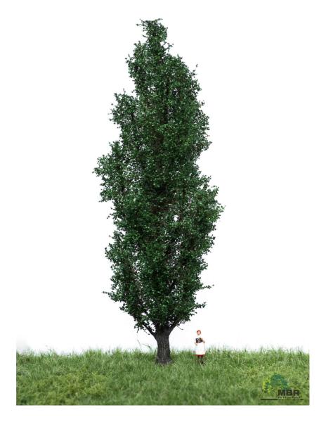 MBR model 51-2307- Spur H0 Italienische Pappel Sommer, 18-22 cm