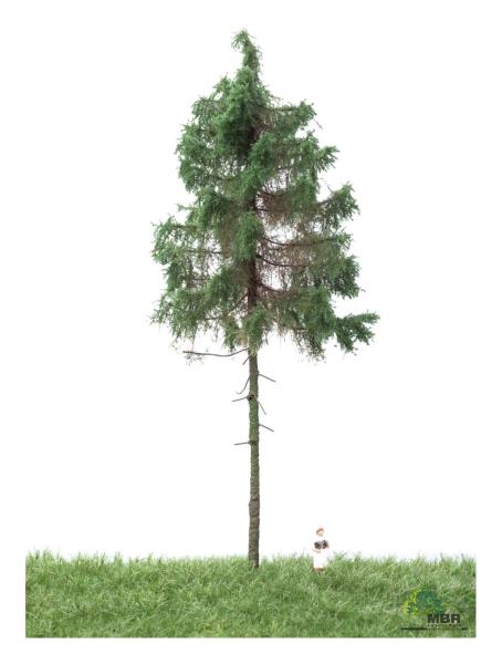 MBR model 51-4305 - Spur H0 Waldfichte Sommer, 18-22cm