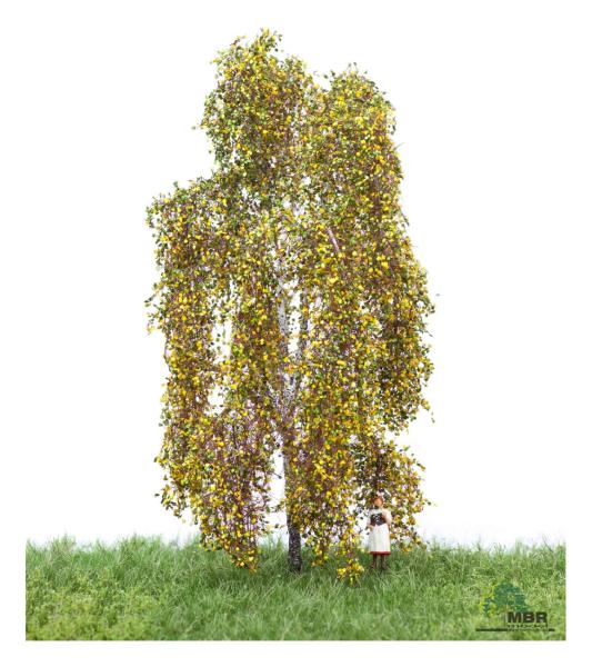 MBR model 52-2201- Spur HO/TT Birke Herbst, 12-16 cm
