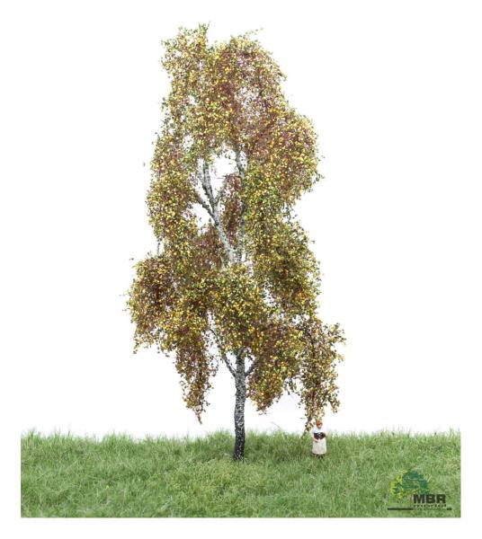 MBR model 52-2301- Spur H0 Birke Herbst, 18-22 cm