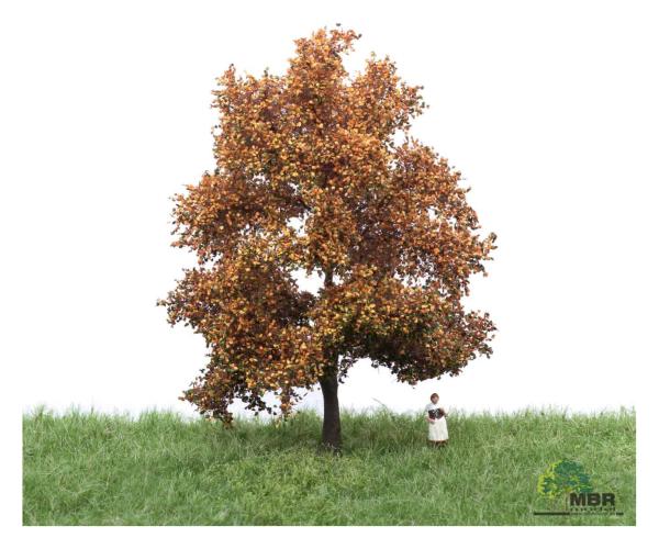 MBR model 52-2202 - Spur HO/TT Buche Herbst, 12-16 cm