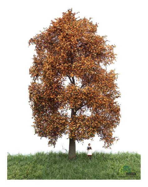 MBR model 52-2302 - Spur H0 Buche Herbst, 18-22 cm