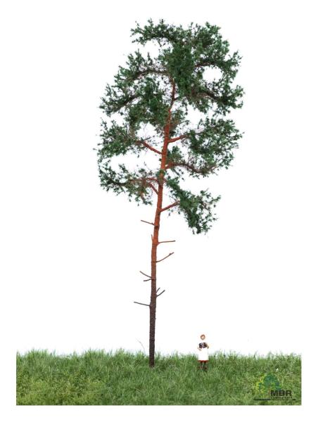 MBR model 51-4304 - Spur H0 Waldkiefer Sommer, 18-22 cm