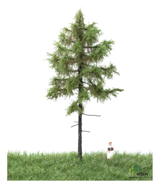 MBR model 51-4202 - Spur Neutral Europäische Waldlärche Sommer, 12-16 cm
