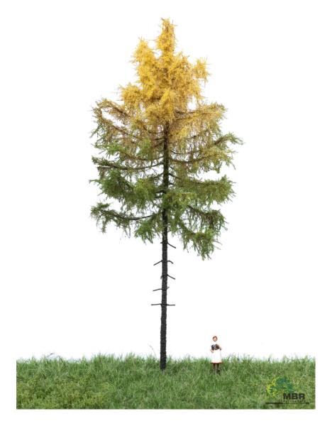 MBR model 52-4302 - Spur H0 Europäische Waldlärche Herbst, 18-22 cm