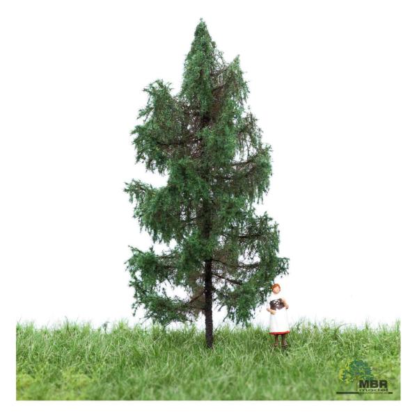 MBR model 51-4106 - Spur N Fichte Sommer, 6-10 cm