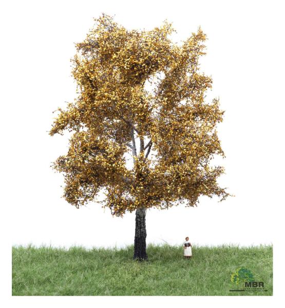 MBR model 52-2305 - Spur H0 Silberpappel Herbst,18-22 cm