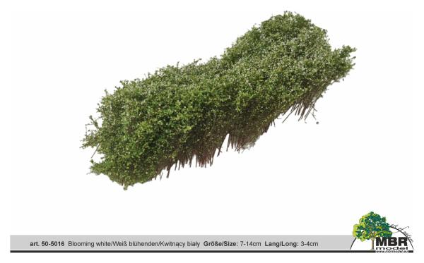 MBR model 50-5016 - Spur H0/TT Sträucher weiß blühend, 7x14cm, 3-4cm hoch