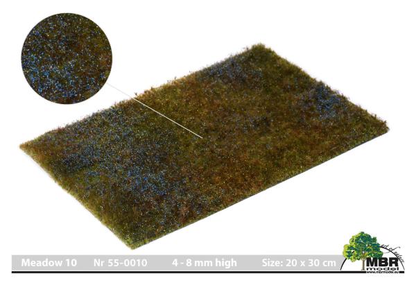 MBR model 55-0010 - Grasmatte Wiese, 4-8 mm
