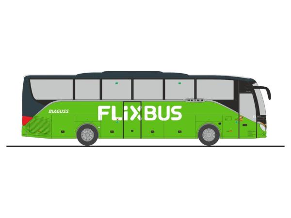 Rietze 77945 Spur HO Setra S 515 HD Flixbus Blaguss (SK)