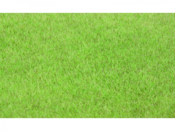 Heki 33541- Steppengras hell 75g, 6mm