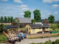 Auhagen 11374  - Spur HO Ländliche Handelseinrichtung