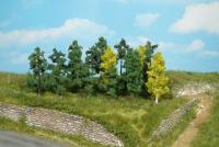 Heki 1231 - 25 BÄUME 4-6 CM